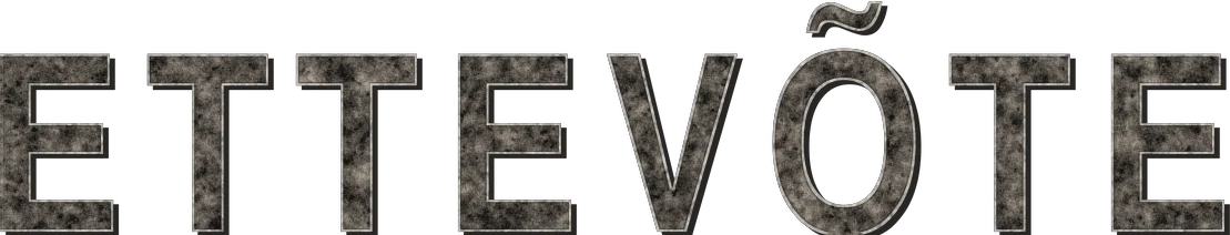 Ettevõte